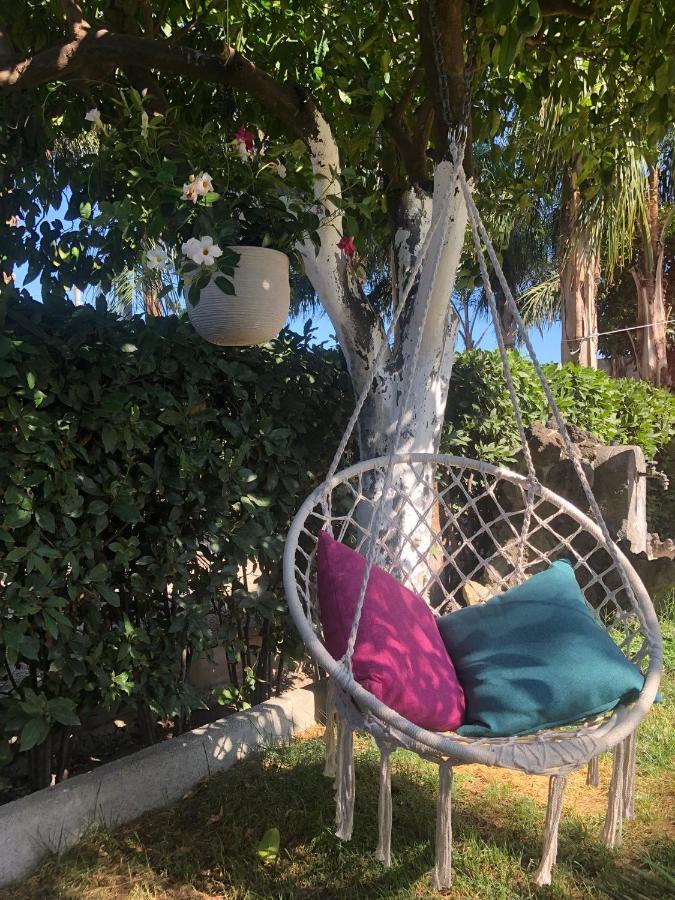 פומפיי B&B Green Oasis מראה חיצוני תמונה